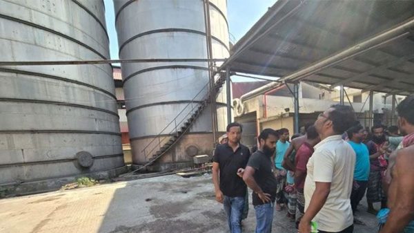 Image 290992 1726133295