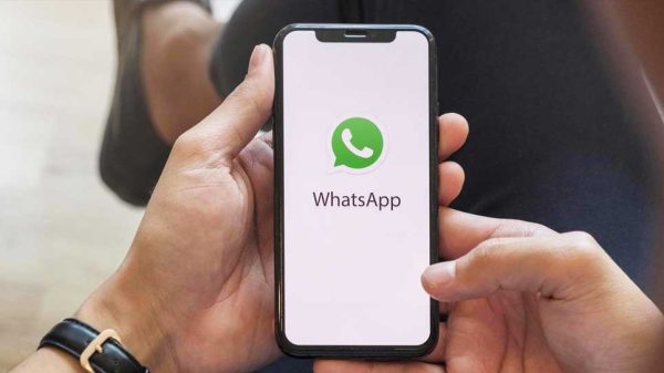 Image 291409 1726398672