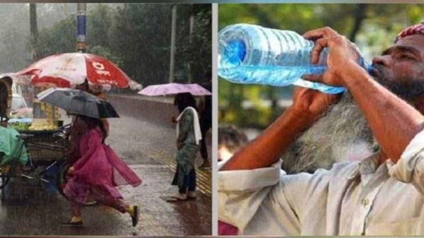 Image 291713 1726629177 20250406 20570976