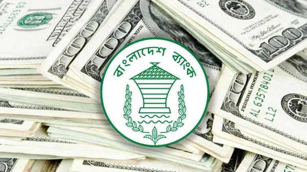 Image 292339 1727007716