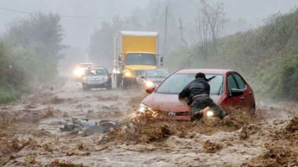 Image 293139 1727491786