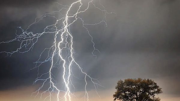 Image 293359 1727610272