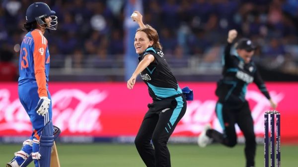 Image 294132 1728062898