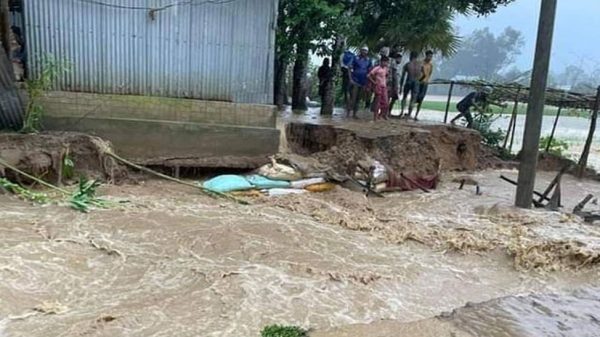 Image 294306 1728188407