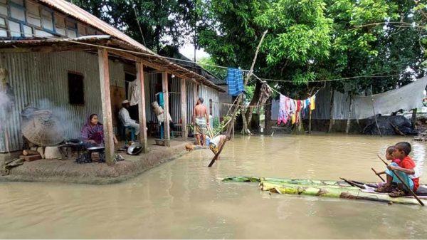 Image 294802 1728475264