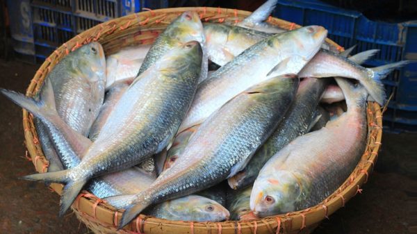 Image 294828 1728486313