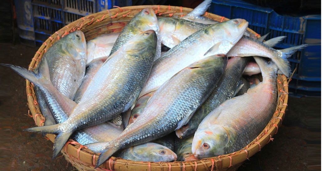 কেটে বিক্রি হবে ইলিশ, কেনা যাবে এক টুকরোও