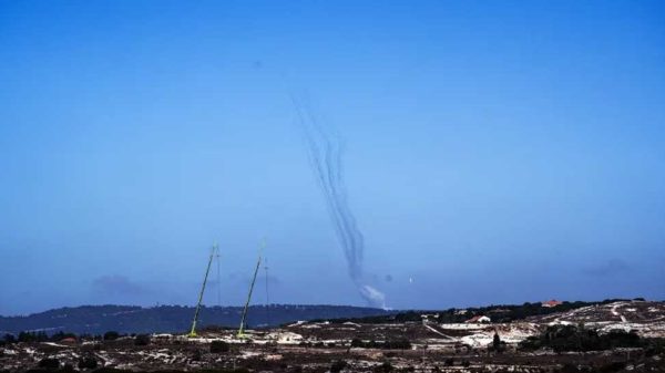 Image 295096 1728702914