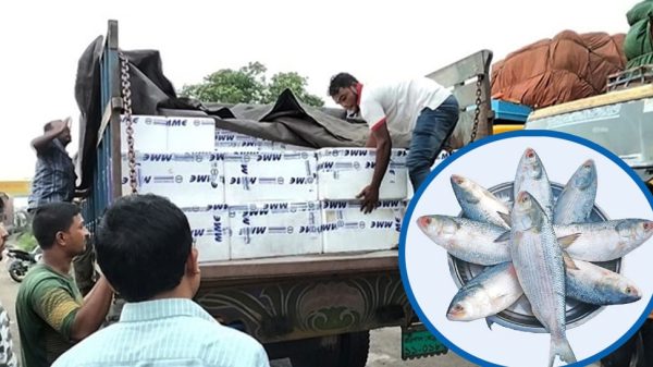 Image 295196 1728751426