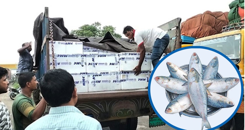 অনুমোদন ছিল ২৪২০ টনের, ভারতে ইলিশ গেল ৫৩৩ মেট্রিক টন