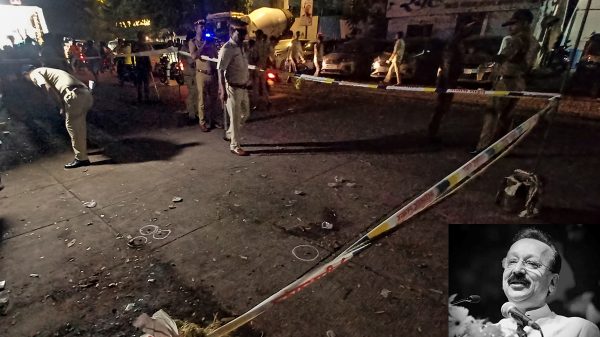 Image 295196 1728751426