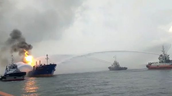 Image 295259 1728809013