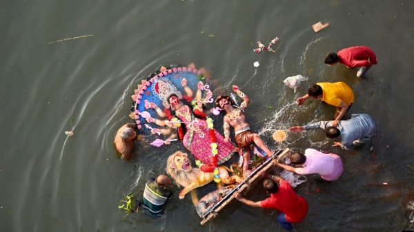 Image 295270 1728815514