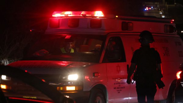 Image 295310 1728839146