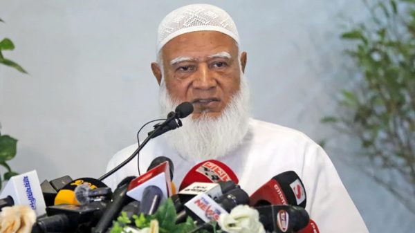 Image 295363 1728889956