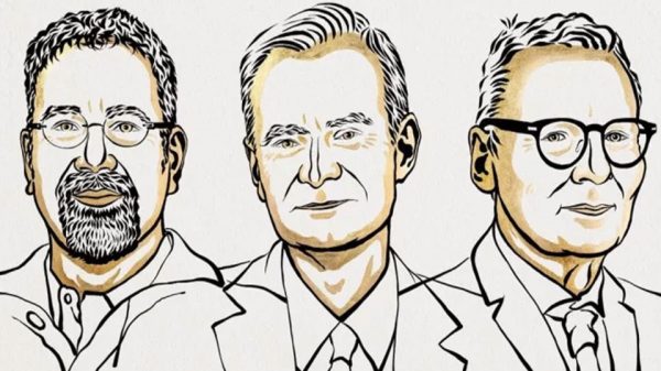 Image 295395 1728901815