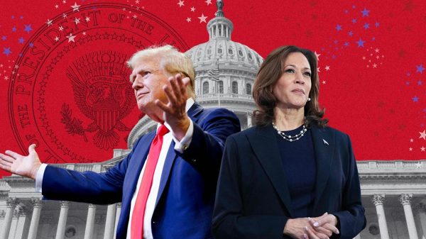 Image 298535 1730783487