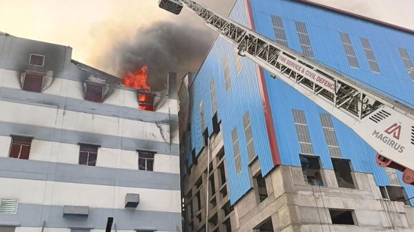 Image 300130 1731744370