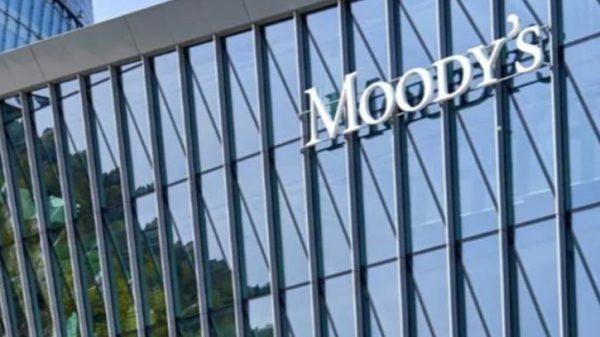 Image 300313 1731835055