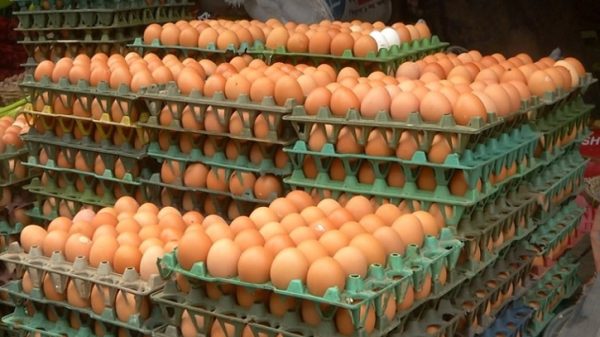 Image 300681 1732023371