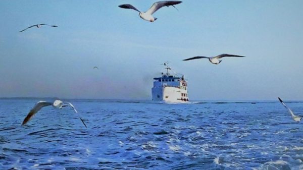 Image 301897 1732762688