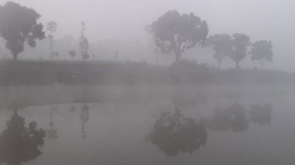 Image 301897 1732762688