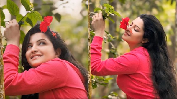 Image 302064 1732856244