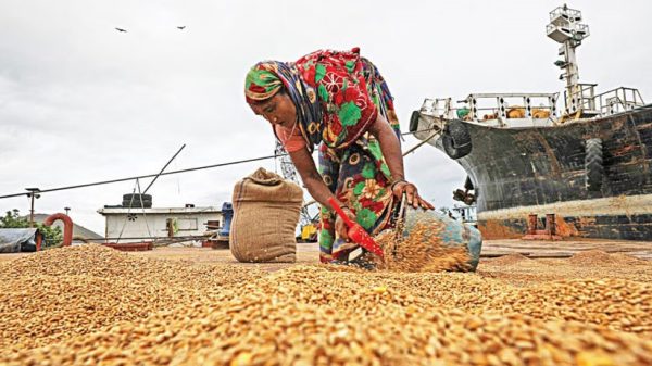 Image 304259 1734071434