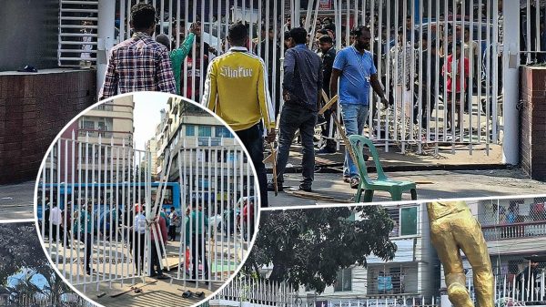 Image 306527 1735537830