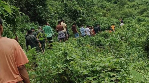 Image 306546 1735544809