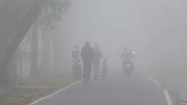 Image 307716 1736255786