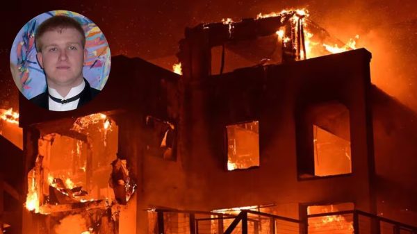 Image 308468 1736699651