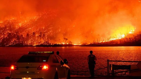 Image 308492 1736739500