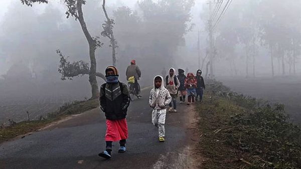 Image 308657 1736829513