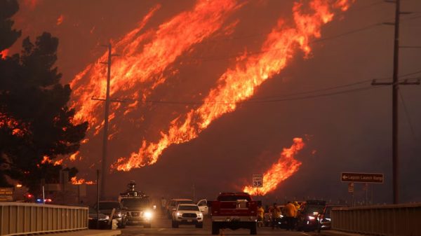 Image 310034 1737603218