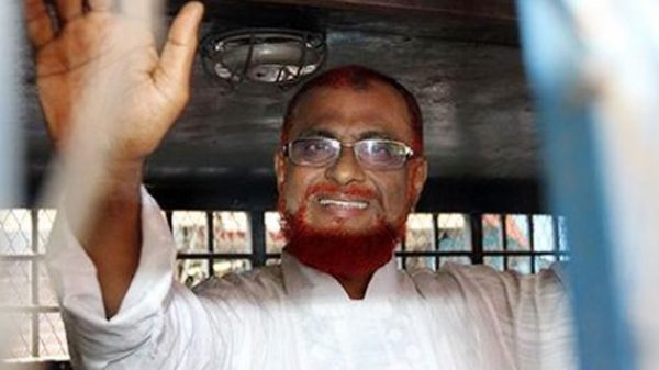 Image 310043 1737607754