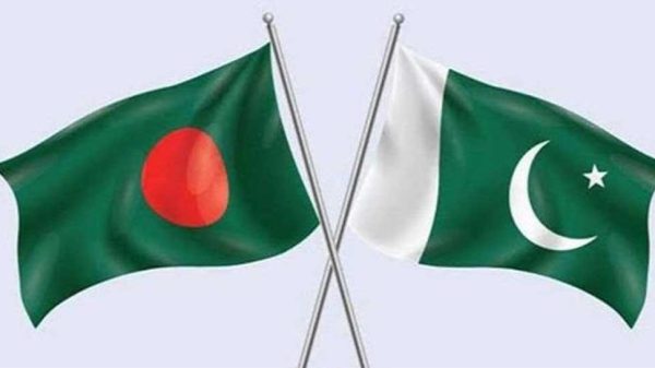 Image 310482 1737868250