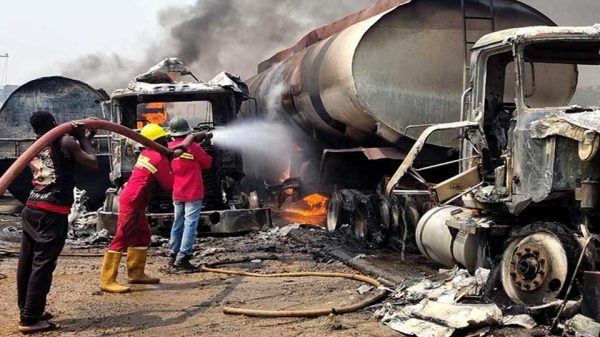 Image 310634 1737950457