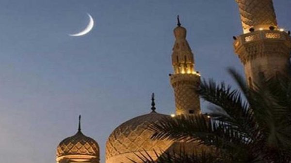 Image 310745 1737991702