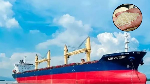 Image 310981 1738136486