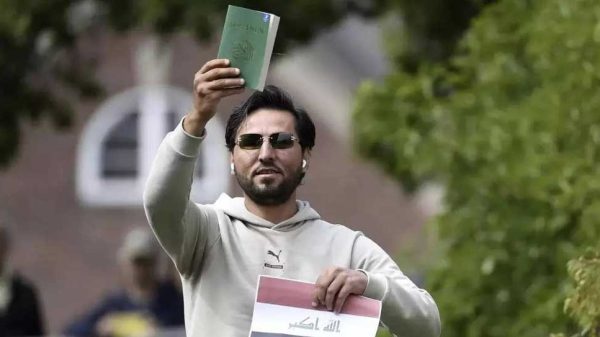 Image 311157 1738234997