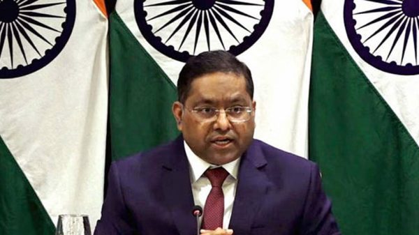 Image 311329 1738334808