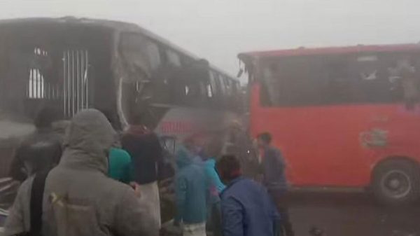 Image 311388 1738388615