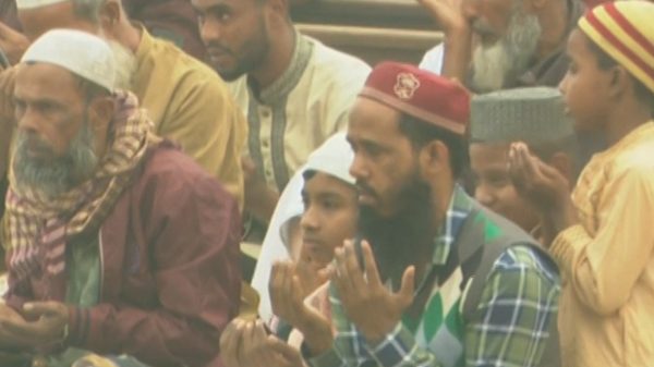 Image 311485 1738420169