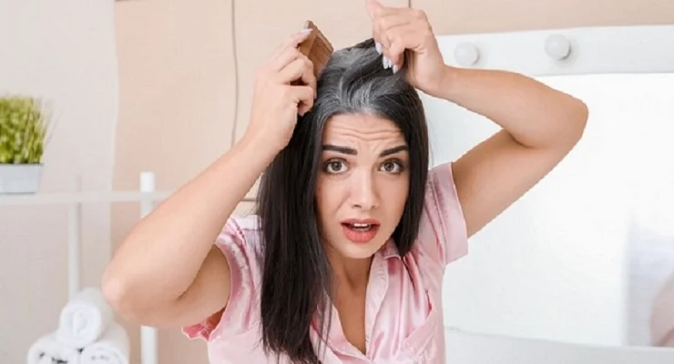 অকালে চুল পাকা কমবে যেসব খাবারে