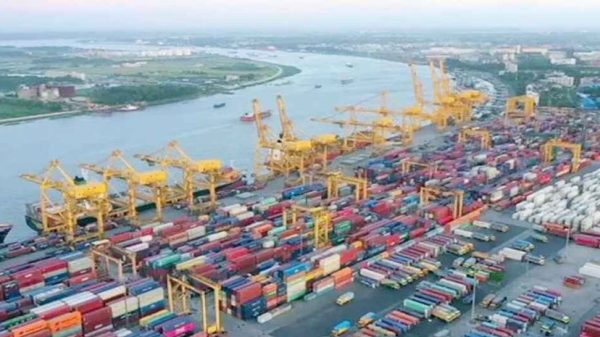 Image 43442 1740724267