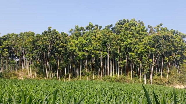 কাজের সন্ধানে বেরিয়ে অপহরণ: তিন লাখ টাকায় মুক্তি