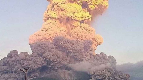 Indo 20250618 110341786