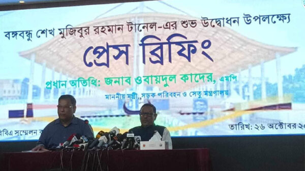 Kader 545 2310260825