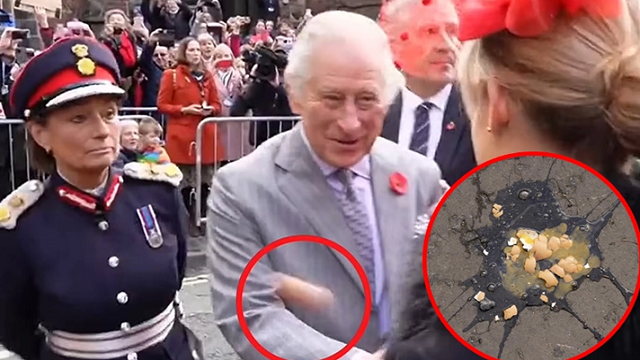 রাজা চার্লস ও ক্যামিলাকে ডিম নিক্ষেপ, আটক ১